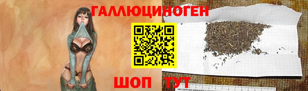 Саянск  Галлюциногенные грибы Cubensis  Вход с VPN 
